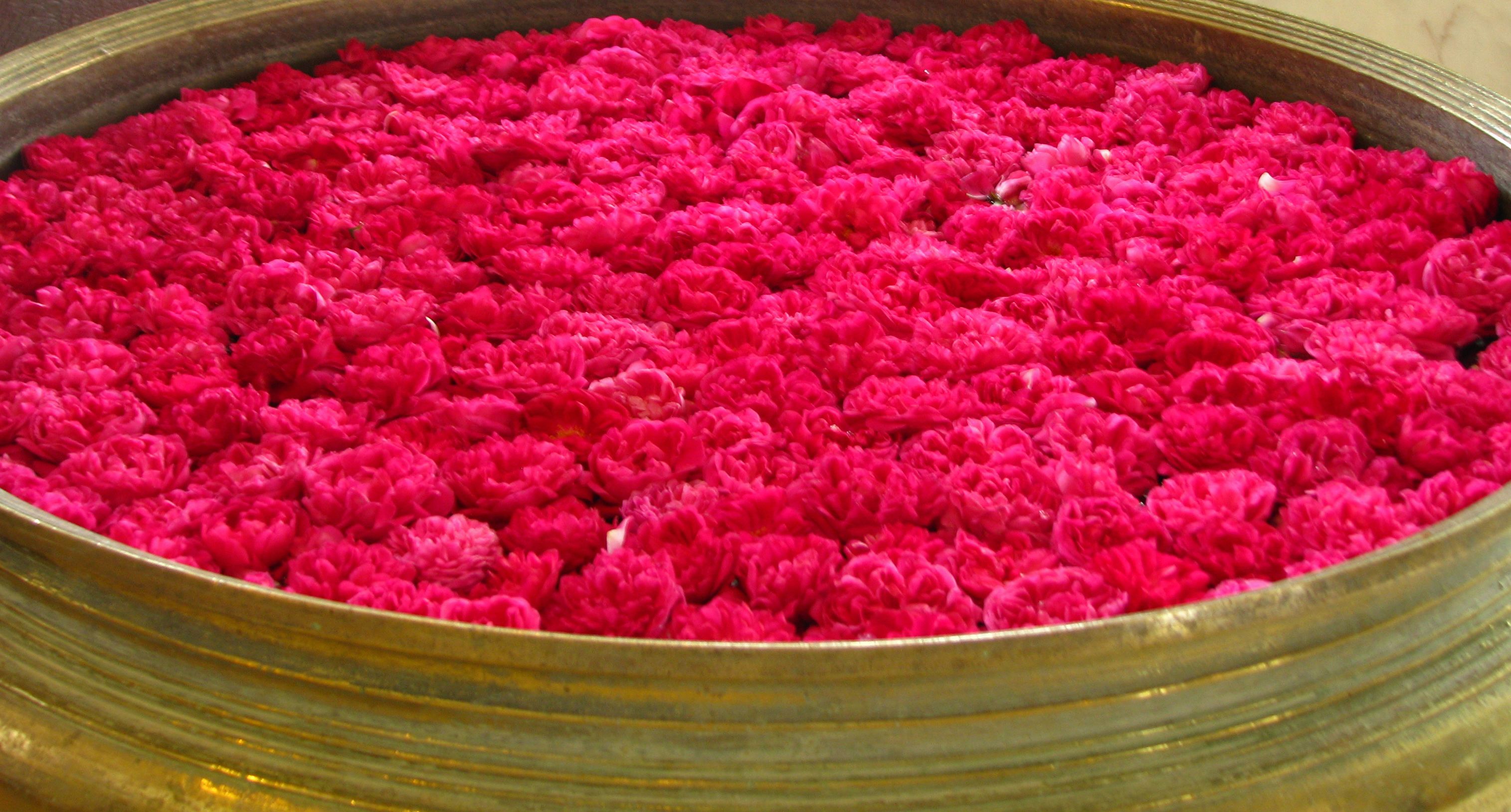 A brass urli filled with rose petals in an Indian hotel lobby